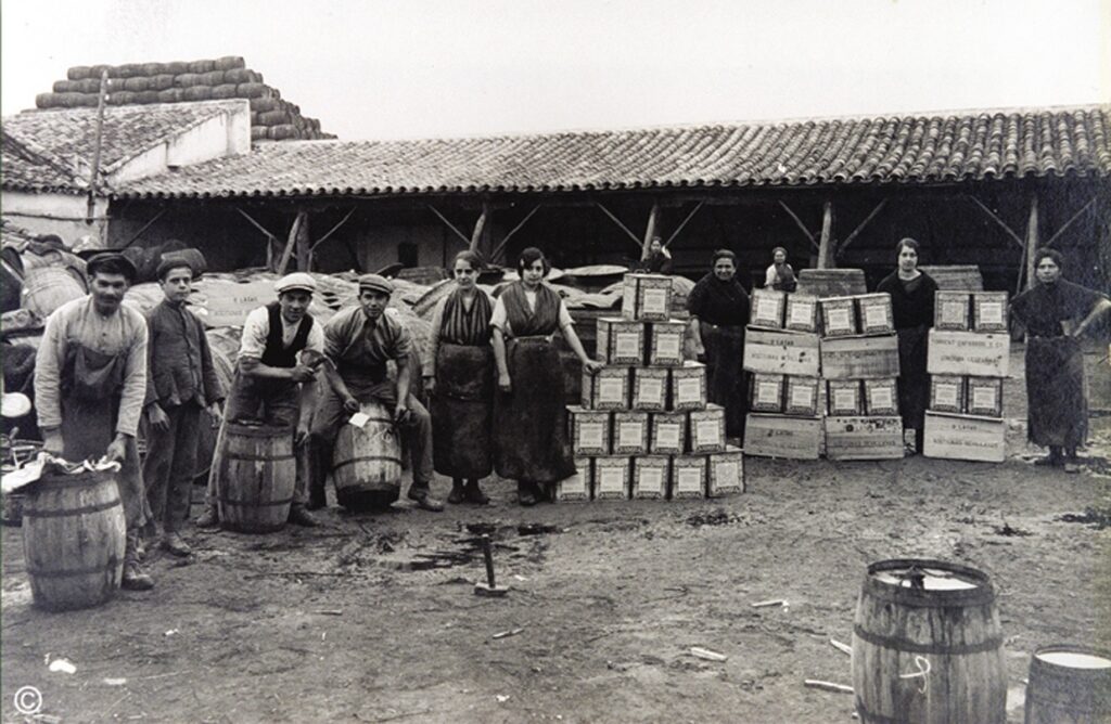 Histórica latas Torrent